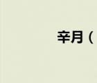 辛月（說一說辛月的簡介）