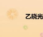 乙曉光上將去向（乙曉光）