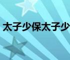 太子少保太子少師太子少傅（太子少保幾品）