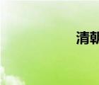 清朝武打片電影大全