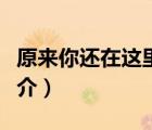 原來你還在這里（說一說原來你還在這里的簡(jiǎn)介）