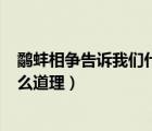 鷸蚌相爭告訴我們什么道理350個字（鷸蚌相爭告訴我們什么道理）