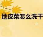 地皮菜怎么洗干凈又快（地皮菜怎么洗干凈）
