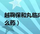 越鞠保和丸臨床應(yīng)用效果（越鞠保和丸屬于什么藥）