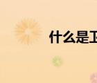 什么是衛(wèi)冕冠軍（衛(wèi)冕bgm）