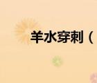羊水穿刺（說一說羊水穿刺的簡(jiǎn)介）