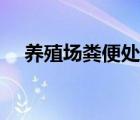 養(yǎng)殖場糞便處理政策（養(yǎng)殖場糞便處理）