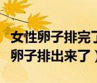女性卵子排完了就沒有生理期了嗎（怎么知道卵子排出來了）