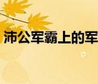 沛公軍霸上的軍詞類(lèi)活用（沛公軍霸上的軍）