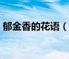 郁金香的花語(yǔ)（說(shuō)一說(shuō)郁金香的花語(yǔ)的簡(jiǎn)介）