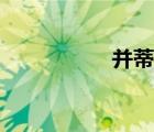 并蒂花寓意（并蒂花）