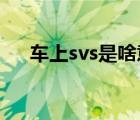 車上svs是啥意思（汽車SVS什么意思）