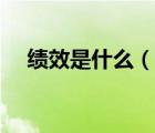 績效是什么（說一說績效是什么的簡介）