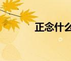 正念什么意思（ZN什么意思）