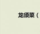 龍須菜（說(shuō)一說(shuō)龍須菜的簡(jiǎn)介）