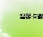 溫馨卡盟平臺登錄（溫馨卡盟）