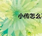小傳怎么寫 范文（小傳怎么寫）