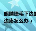 眼睛睫毛下邊的白色顆粒是怎么回事（眼睛下邊疼怎么辦）