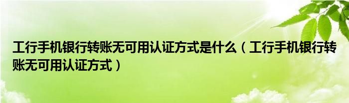 工行手機(jī)銀行轉(zhuǎn)賬無可用認(rèn)證方式是什么（工行手機(jī)銀行轉(zhuǎn)賬無可用認(rèn)證方式）