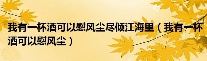 我有一杯酒可以慰風(fēng)塵盡傾江海里（我有一杯酒可以慰風(fēng)塵）