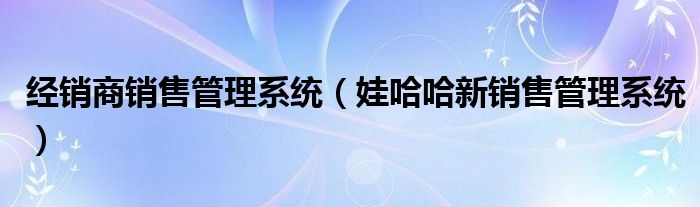 經(jīng)銷商銷售管理系統(tǒng)（娃哈哈新銷售管理系統(tǒng)）