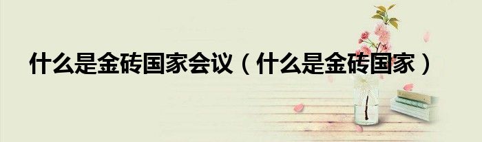 什么是金磚國家會議（什么是金磚國家）