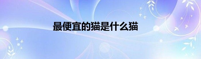 最便宜的貓是什么貓