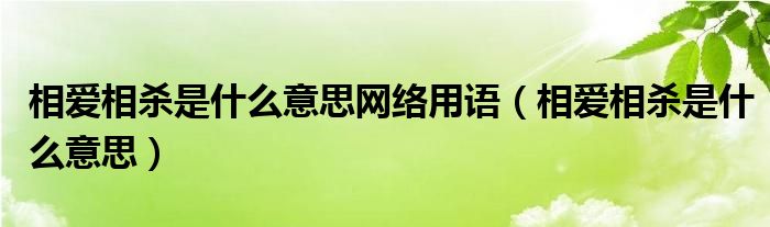 相愛相殺是什么意思網(wǎng)絡(luò)用語（相愛相殺是什么意思）