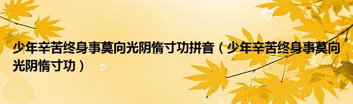 少年辛苦終身事莫向光陰惰寸功拼音（少年辛苦終身事莫向光陰惰寸功）