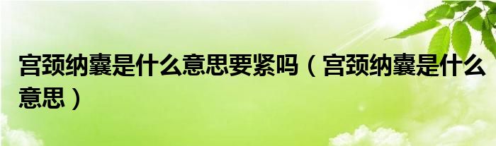 宮頸納囊是什么意思要緊嗎（宮頸納囊是什么意思）