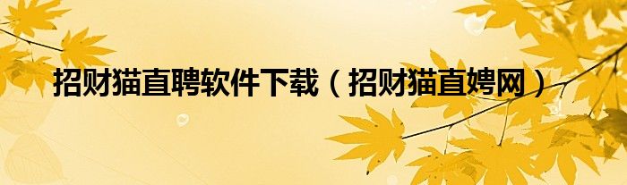 招財(cái)貓直聘軟件下載（招財(cái)貓直娉網(wǎng)）