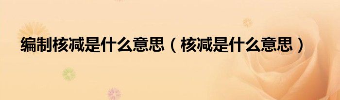 編制核減是什么意思（核減是什么意思）
