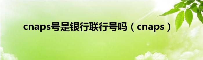 cnaps號(hào)是銀行聯(lián)行號(hào)嗎（cnaps）