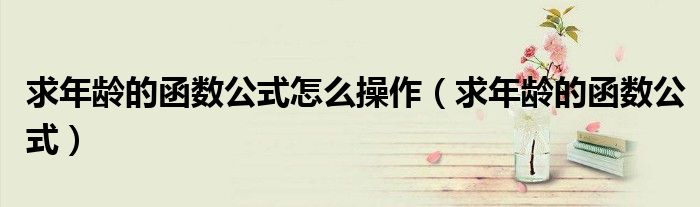 求年齡的函數公式怎么操作（求年齡的函數公式）