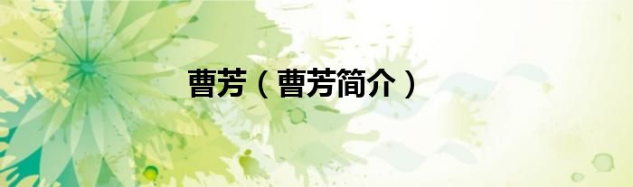 曹芳（曹芳簡(jiǎn)介）