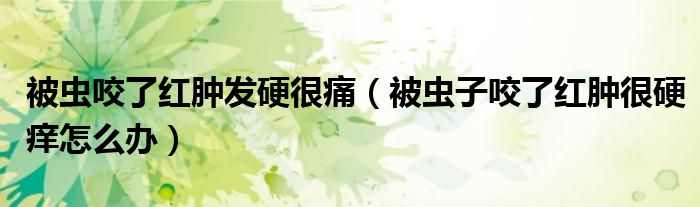 被蟲咬了紅腫發(fā)硬很痛（被蟲子咬了紅腫很硬癢怎么辦）