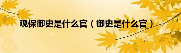 觀保御史是什么官（御史是什么官）