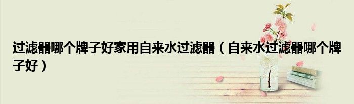 過濾器哪個牌子好家用自來水過濾器（自來水過濾器哪個牌子好）