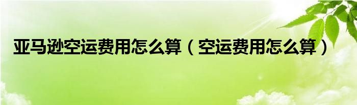 亞馬遜空運費用怎么算（空運費用怎么算）