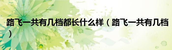 路飛一共有幾檔都長什么樣（路飛一共有幾檔）