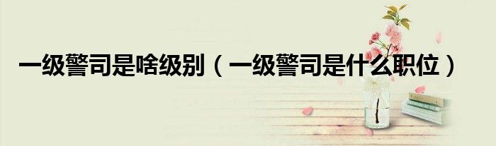 一級警司是啥級別（一級警司是什么職位）