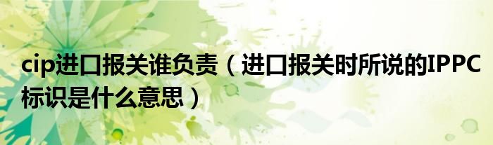 cip進(jìn)口報(bào)關(guān)誰(shuí)負(fù)責(zé)（進(jìn)口報(bào)關(guān)時(shí)所說(shuō)的IPPC標(biāo)識(shí)是什么意思）