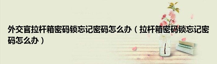 外交官拉桿箱密碼鎖忘記密碼怎么辦（拉桿箱密碼鎖忘記密碼怎么辦）