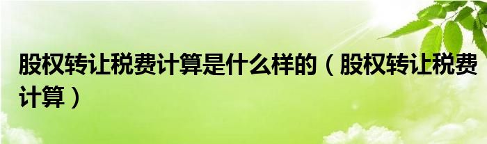 股權(quán)轉(zhuǎn)讓稅費(fèi)計(jì)算是什么樣的（股權(quán)轉(zhuǎn)讓稅費(fèi)計(jì)算）