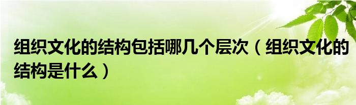 組織文化的結(jié)構(gòu)包括哪幾個(gè)層次（組織文化的結(jié)構(gòu)是什么）