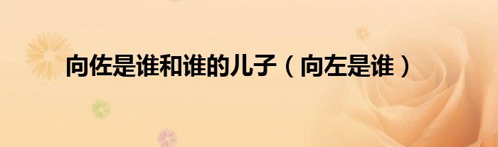 向佐是誰和誰的兒子（向左是誰）