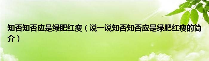 知否知否應(yīng)是綠肥紅瘦（說(shuō)一說(shuō)知否知否應(yīng)是綠肥紅瘦的簡(jiǎn)介）