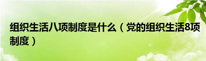 組織生活八項制度是什么（黨的組織生活8項制度）