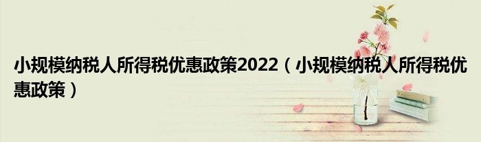 小規(guī)模納稅人所得稅優(yōu)惠政策2022（小規(guī)模納稅人所得稅優(yōu)惠政策）