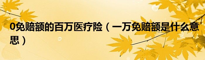 0免賠額的百萬醫(yī)療險（一萬免賠額是什么意思）